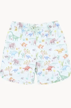 Boardshorts|Minihaha Boys Denver Boardshort Light green