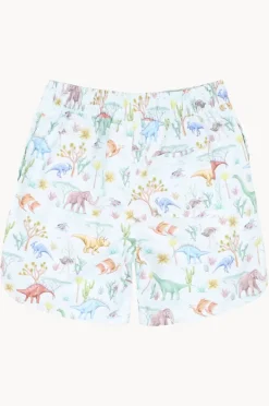 Boardshorts|Minihaha Boys Denver Boardshort Light green