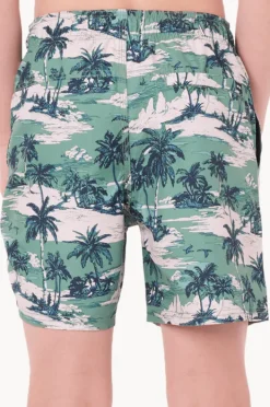 Boardshorts|Rip Curl Boys Dreamers Volley Boardshort Leaf