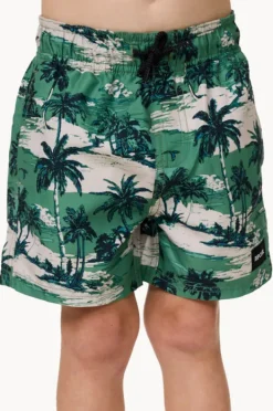 Boardshorts|Rip Curl Boys Dreamers Volley Boardshort Leaf