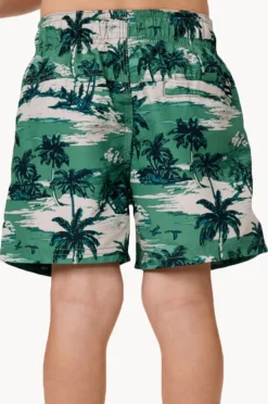Boardshorts|Rip Curl Boys Dreamers Volley Boardshort Leaf