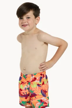Boardshorts|Zoggs Boys Haku Watershort Multi