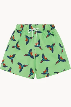 Boardshorts|Babes In The Shade Boys Macaw Boardshort Green