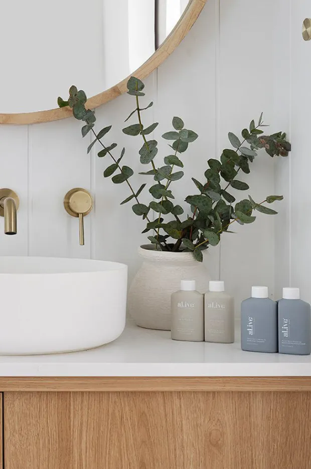 Travel|Gifts|Al.ive Body Hair & Body Travel Pack