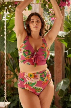 Bikini Tops|Artesands Le Recife Cezanne D/DD Cup Midriff Bra Pink