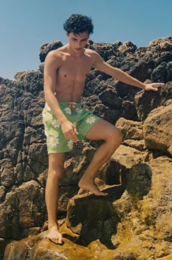 Boardshorts|Coast Mens Daisy Classic Boardshort Lime