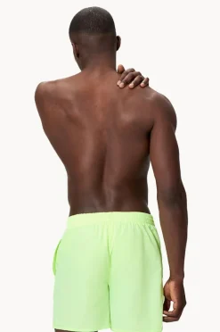 Boardshorts|Speedo Mens Essential 16" Watershort Light green