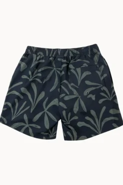 Boardshorts|Quiksilver Mens Everyday Mix 17" Volley Boarshort Black/grey