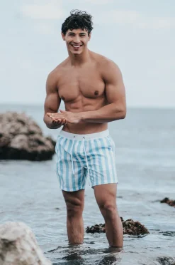 Boardshorts|Vacay Mens Mykonos Swim Short Blue/white